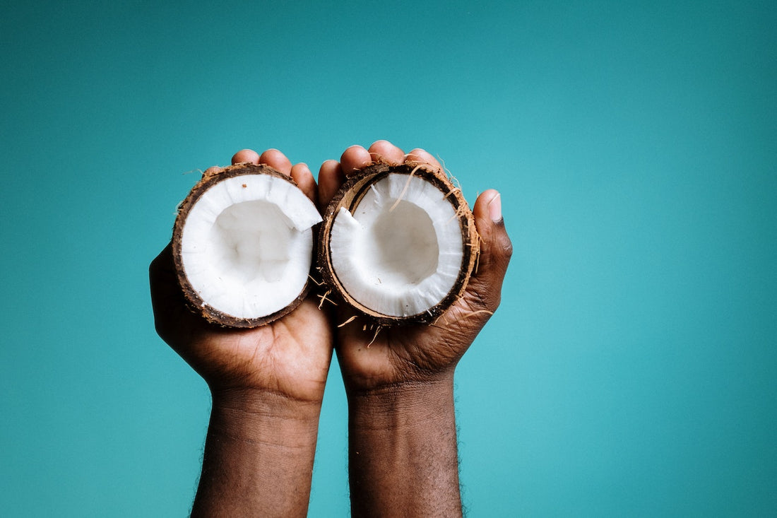 Pair of hands holding coconut halves. Blog. Coconut for heart health, brain function, reduced inflammation and more.