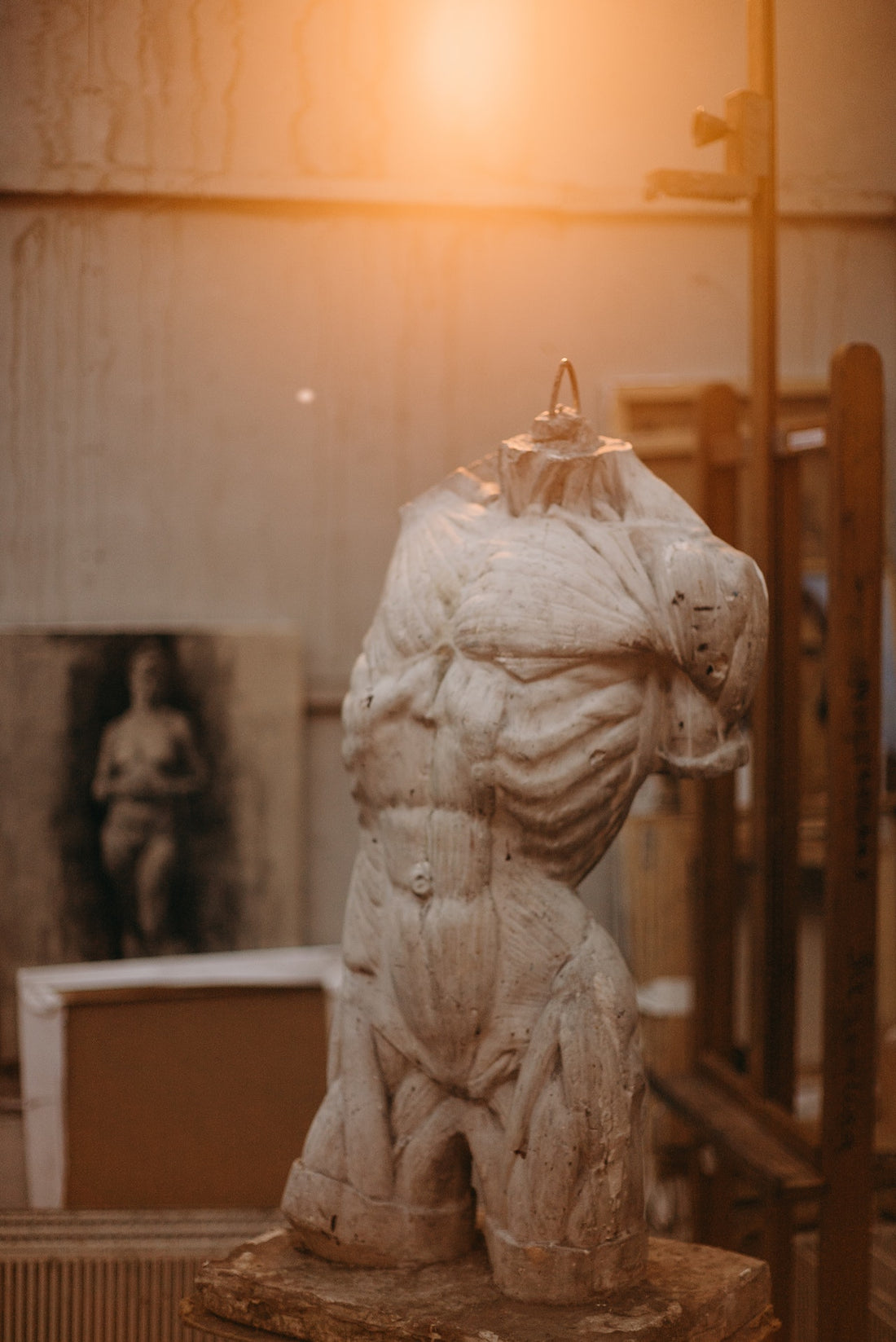 Sculpture of Human Torso. Autophagy, Understanding the Body's Self-Cleaning Mechanism.