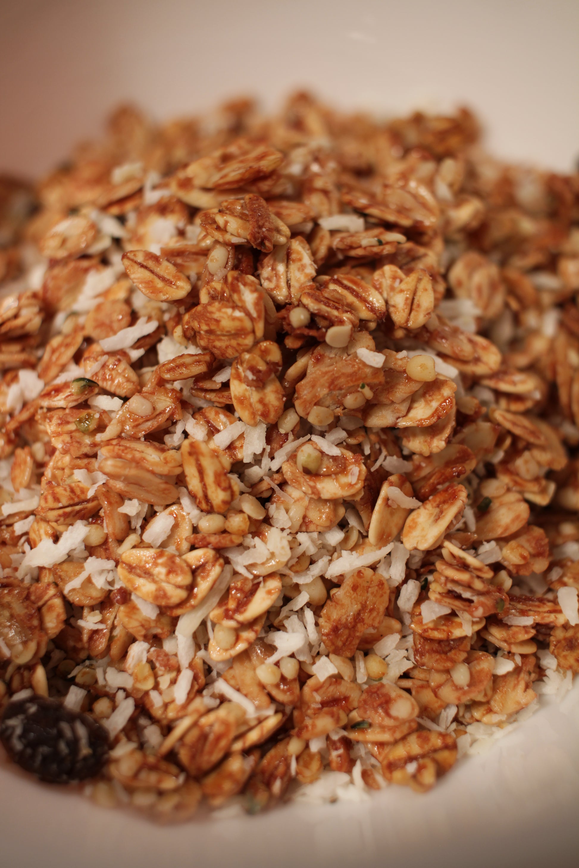 Vanilla Coconut Protein Granola. Plant-based. No Added Sugar. Paleo. Organic Ingredients. Gluten-Free.